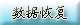 ���ݻָ�